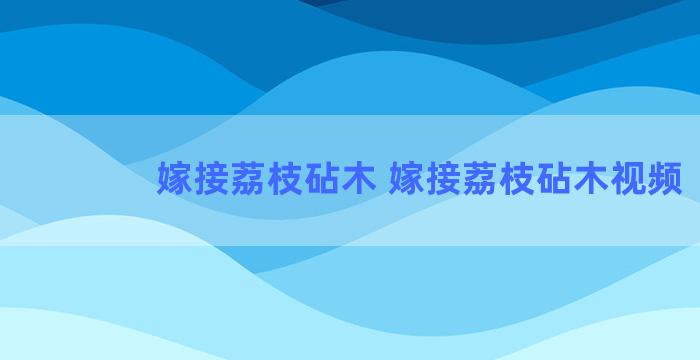 嫁接荔枝砧木 嫁接荔枝砧木视频